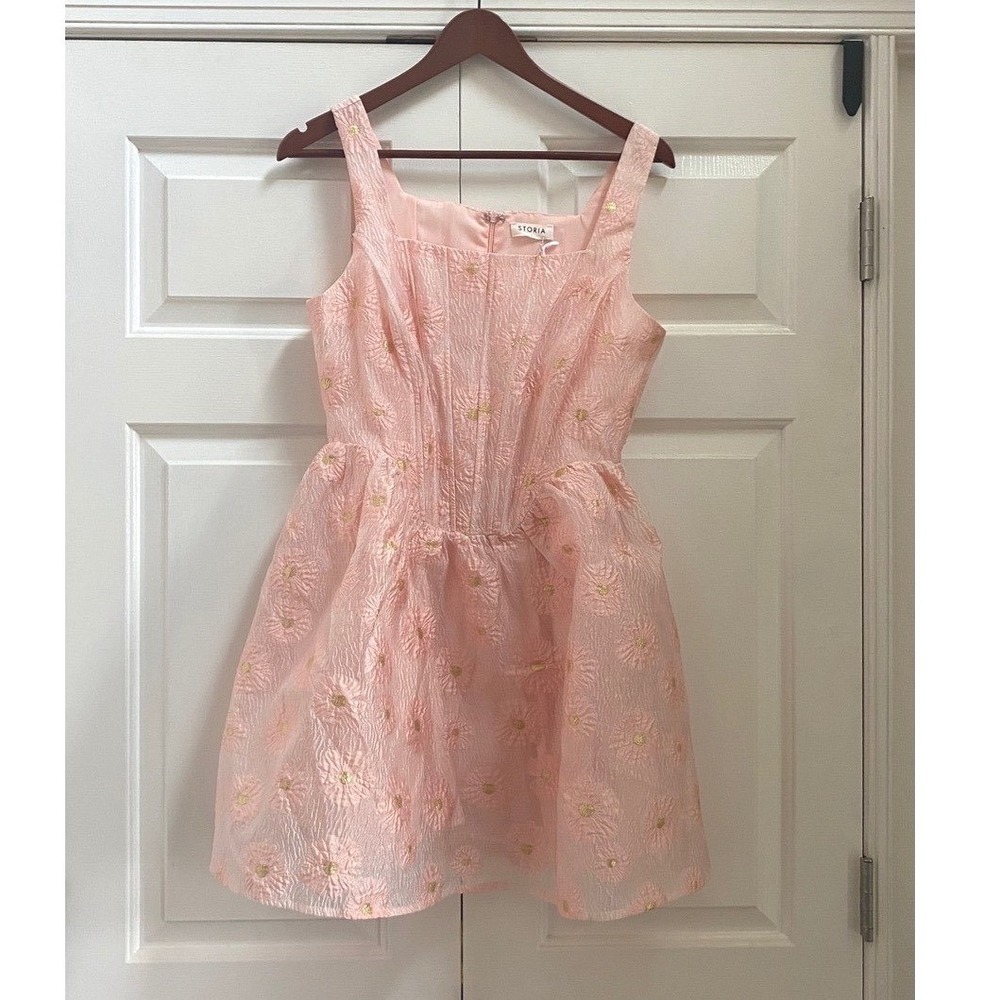 Storia Mini Dress Women L Pink Floral Corset Gold Coquette Balletcore Glinda